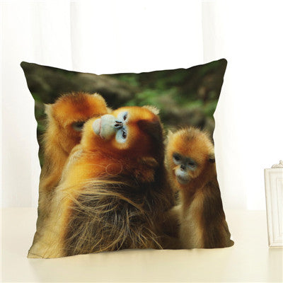 Cushion Soft Pillow Cover
