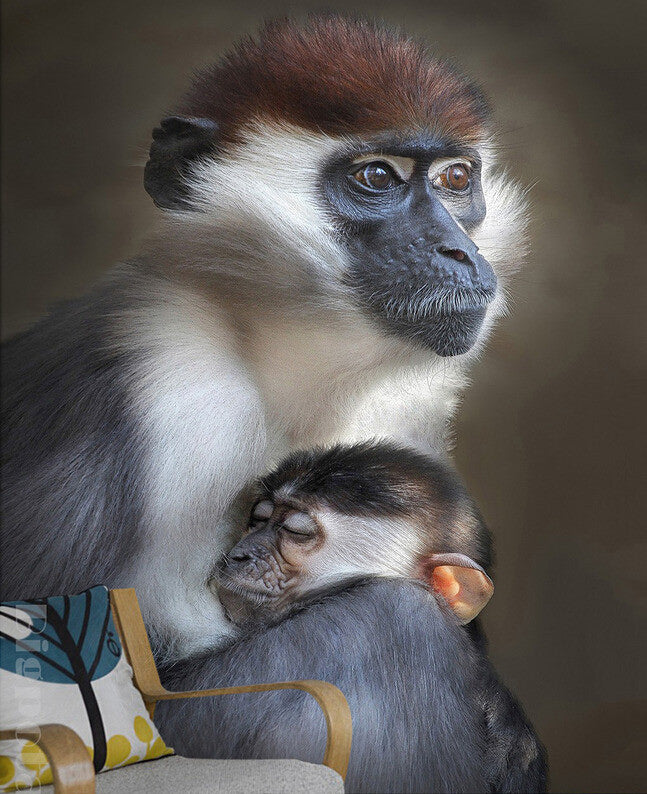 Large Monkey Wallpaper